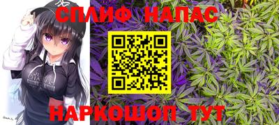 крисы Будённовск
