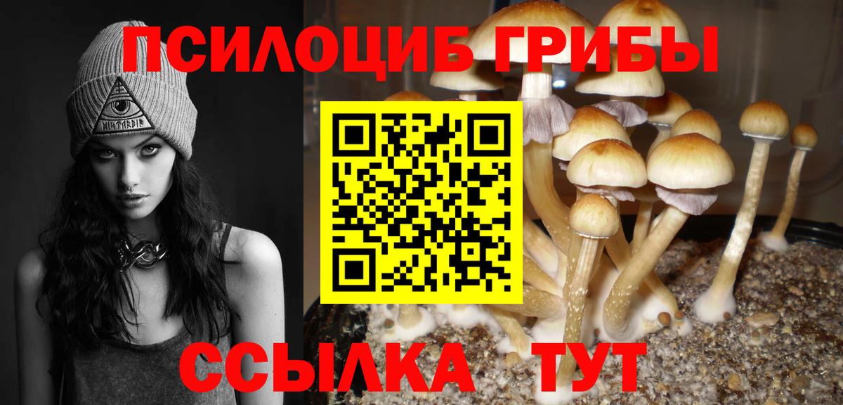 Псилоцибиновые грибы ЛСД  Псилоцибиновые грибы мицелий  Керчь  Вход с VPN 